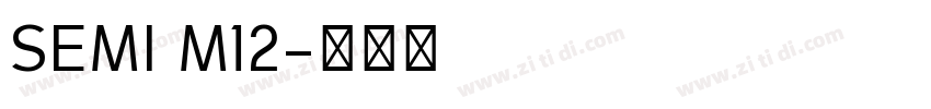 SEMI M12字体转换